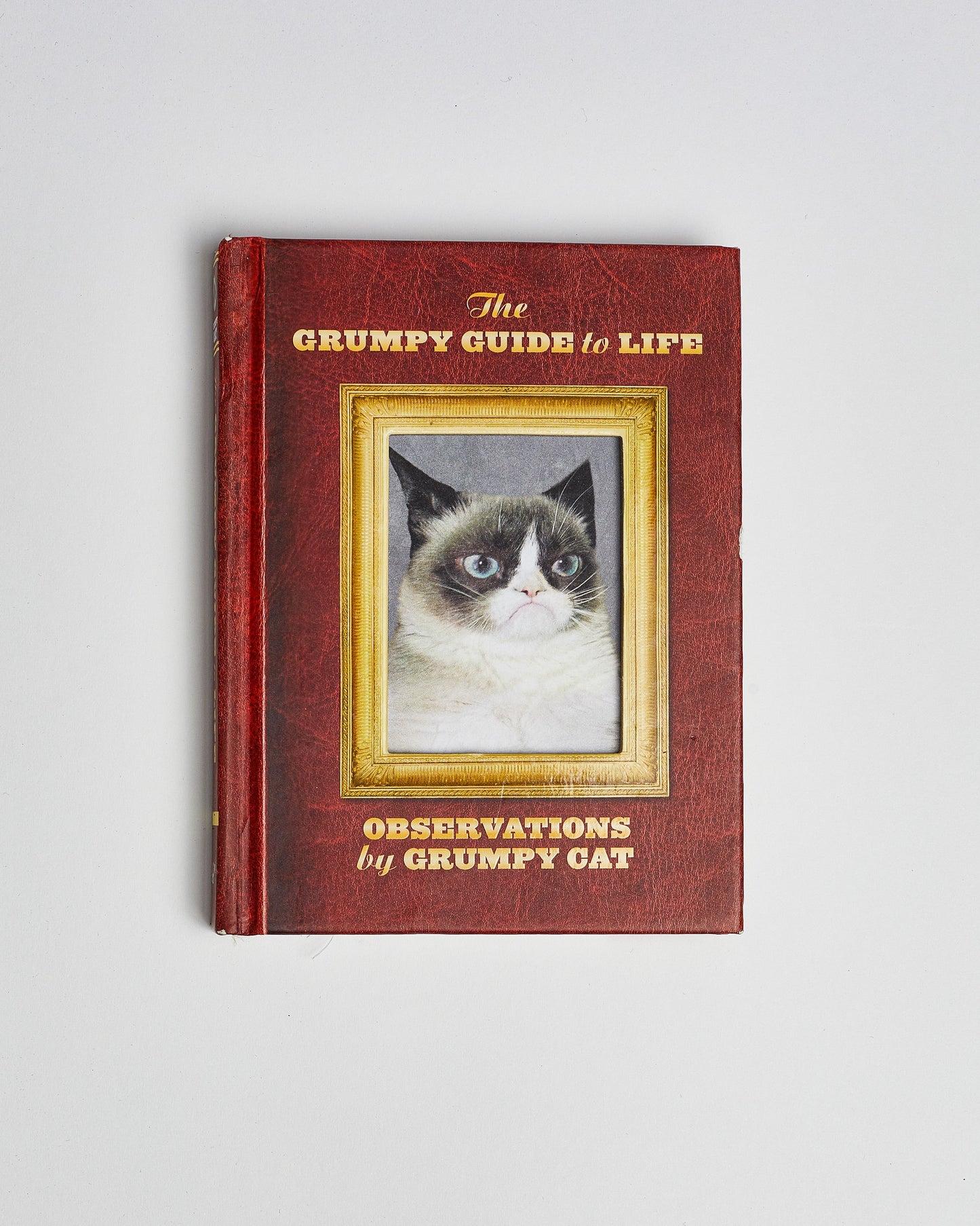 La guía del gruñón para la vida