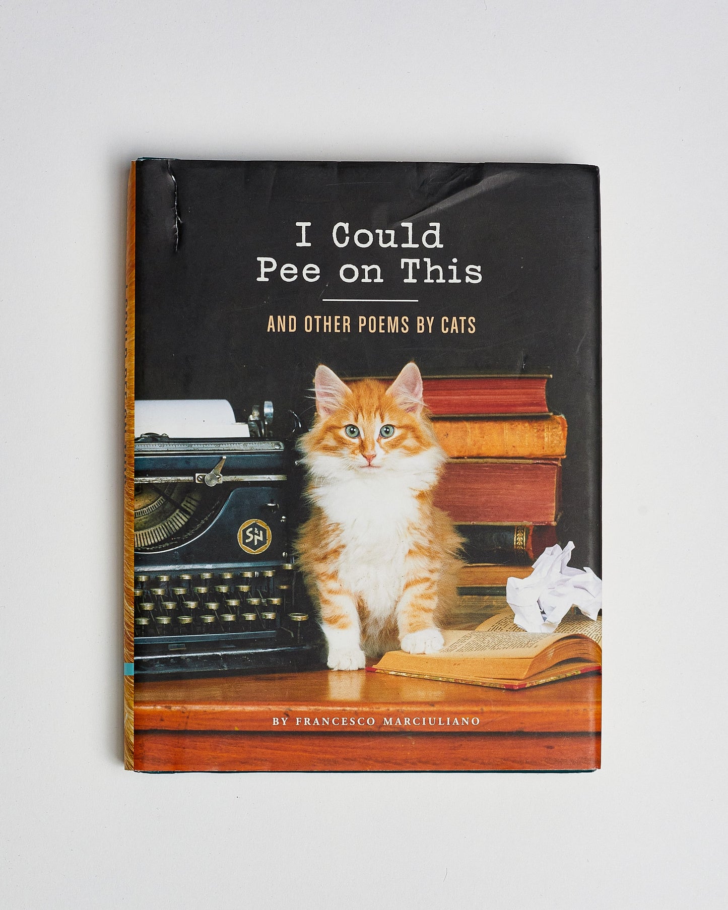 I Could Pee on This and Other Poems by Cats