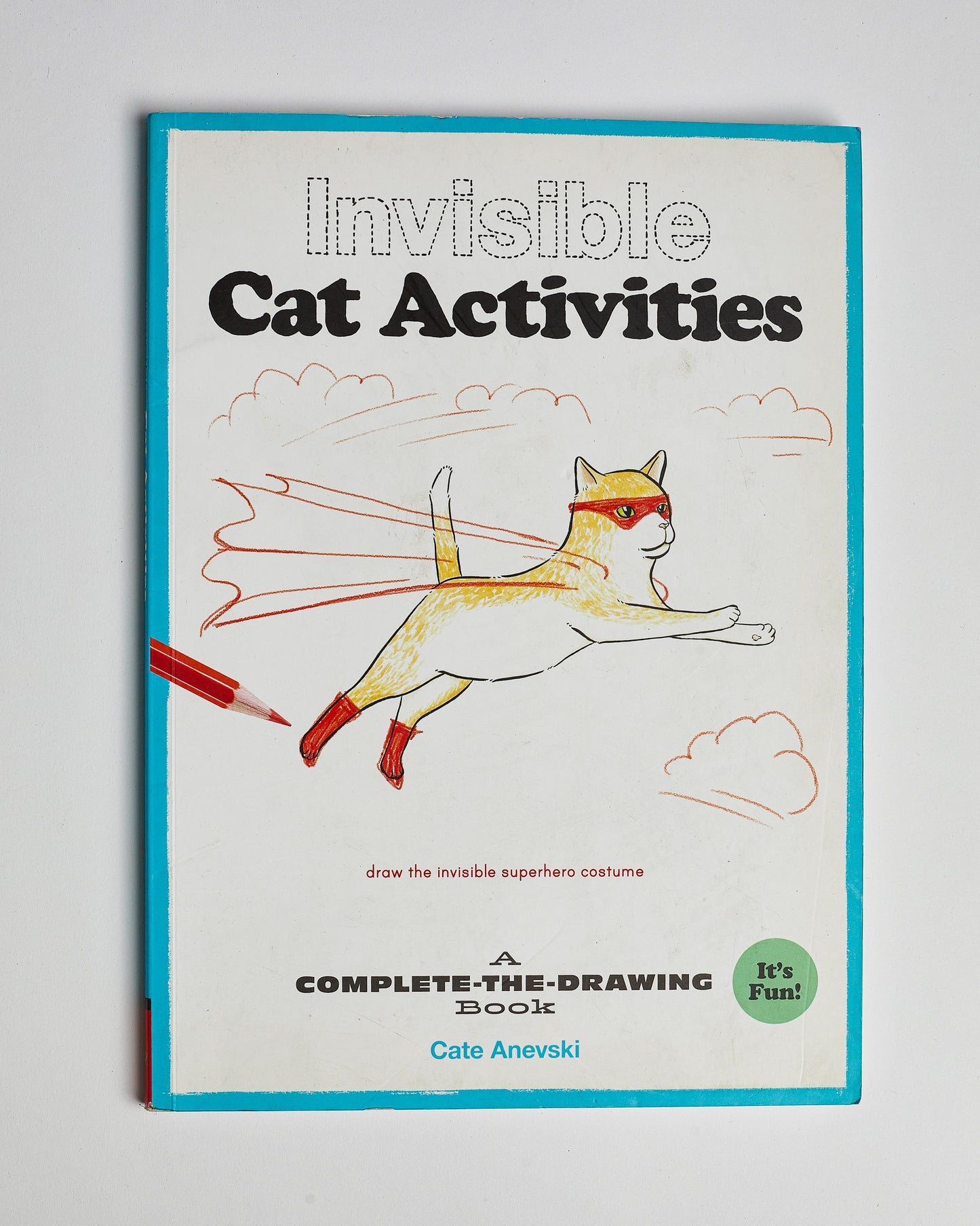 Invisible Cat Activities